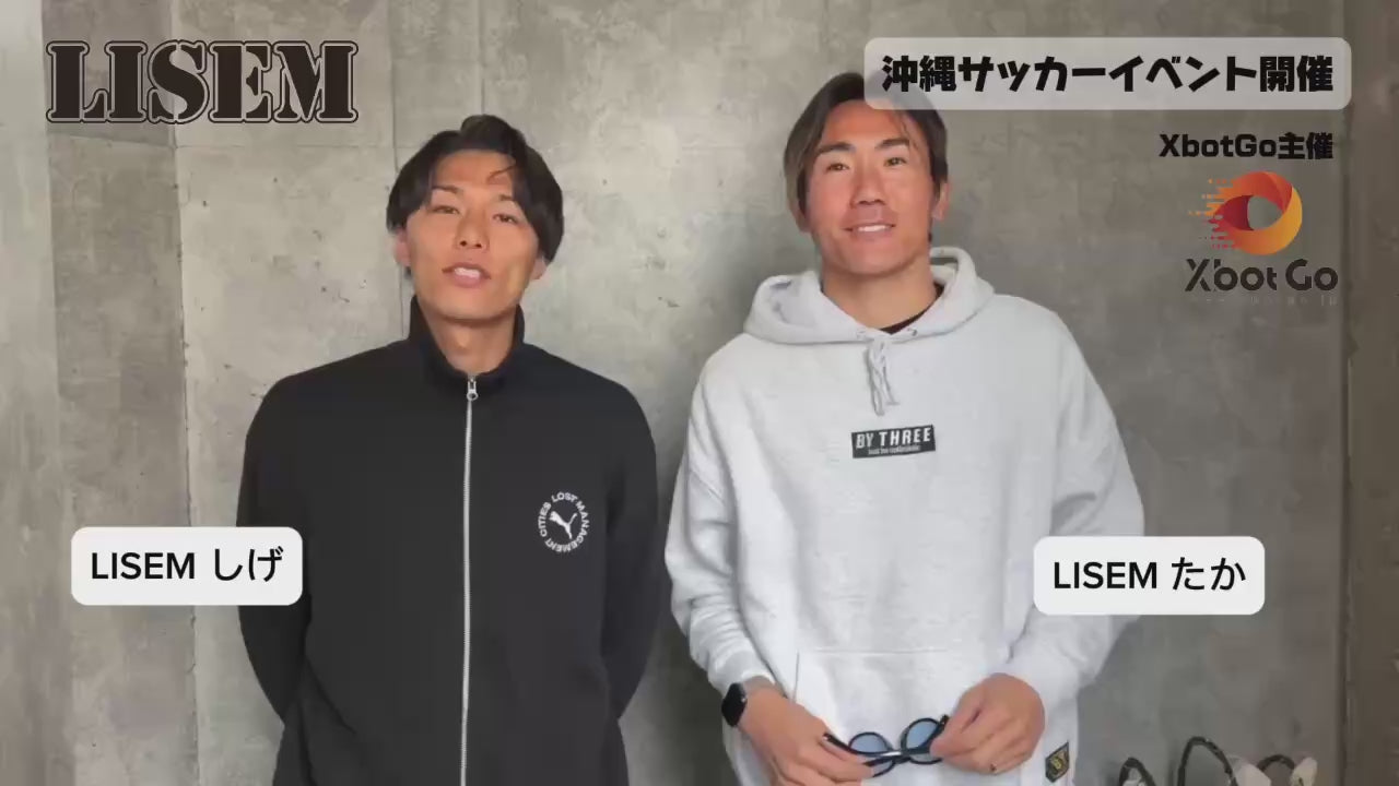 動画を読み込む: 
